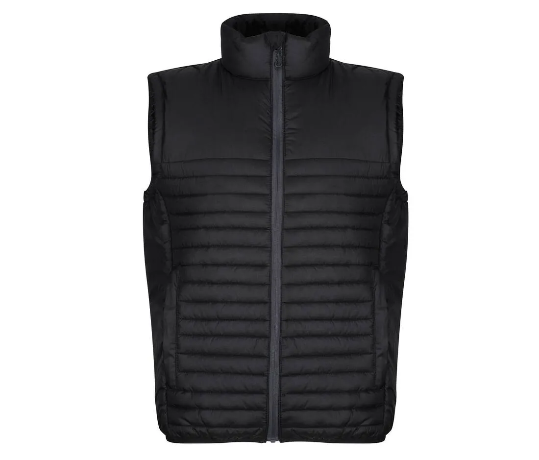 Bodywarmer matelassé en polyester recylcé unisex / REGATTA RGA861