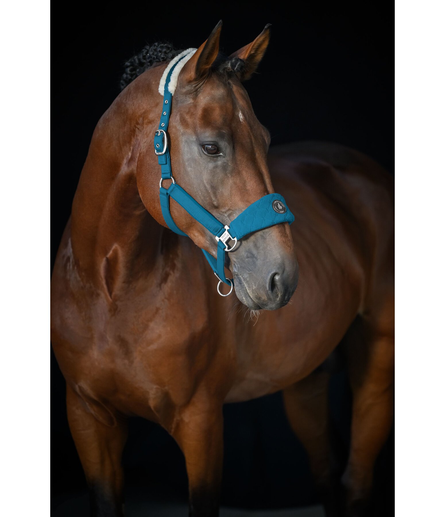 Licol en Polaire Teddy  Equestrian Sports